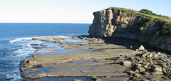 Terrigal
