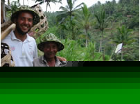 Plantações de arroz nas montanhas