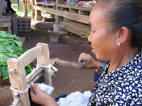 Tirando o caroço do algodão