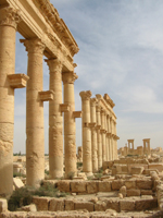Palmyra