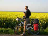 Plantação de colza