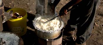 Ugali